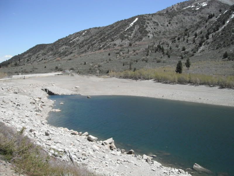 Mammoth Lakes/Virginia Lakes/Lundy Lake Report